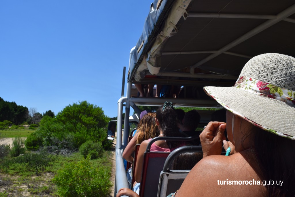 Cabo Polônio – Roteiro Internacional Inesquecível