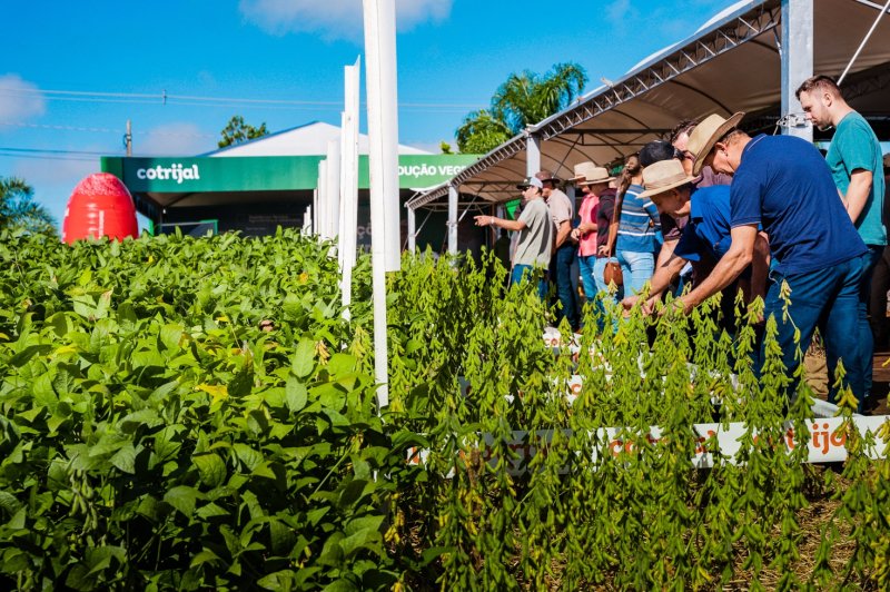 Expodireto Cotrijal – Não-Me-Toque/RS