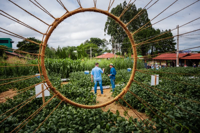 Expodireto Cotrijal – Não-Me-Toque/RS