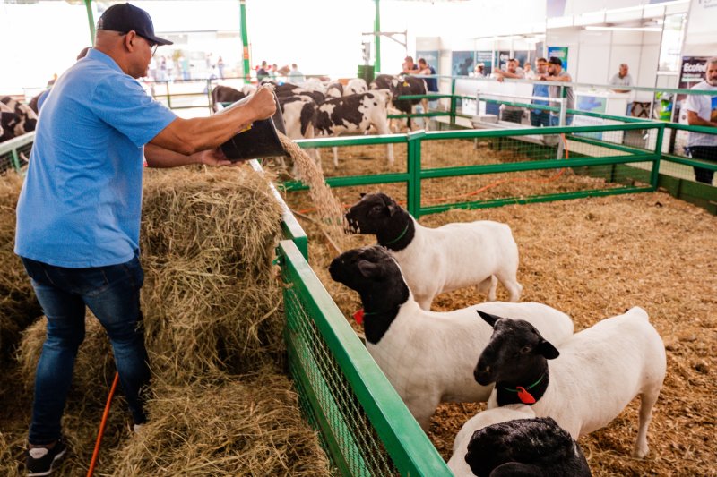 Expodireto Cotrijal – Não-Me-Toque/RS