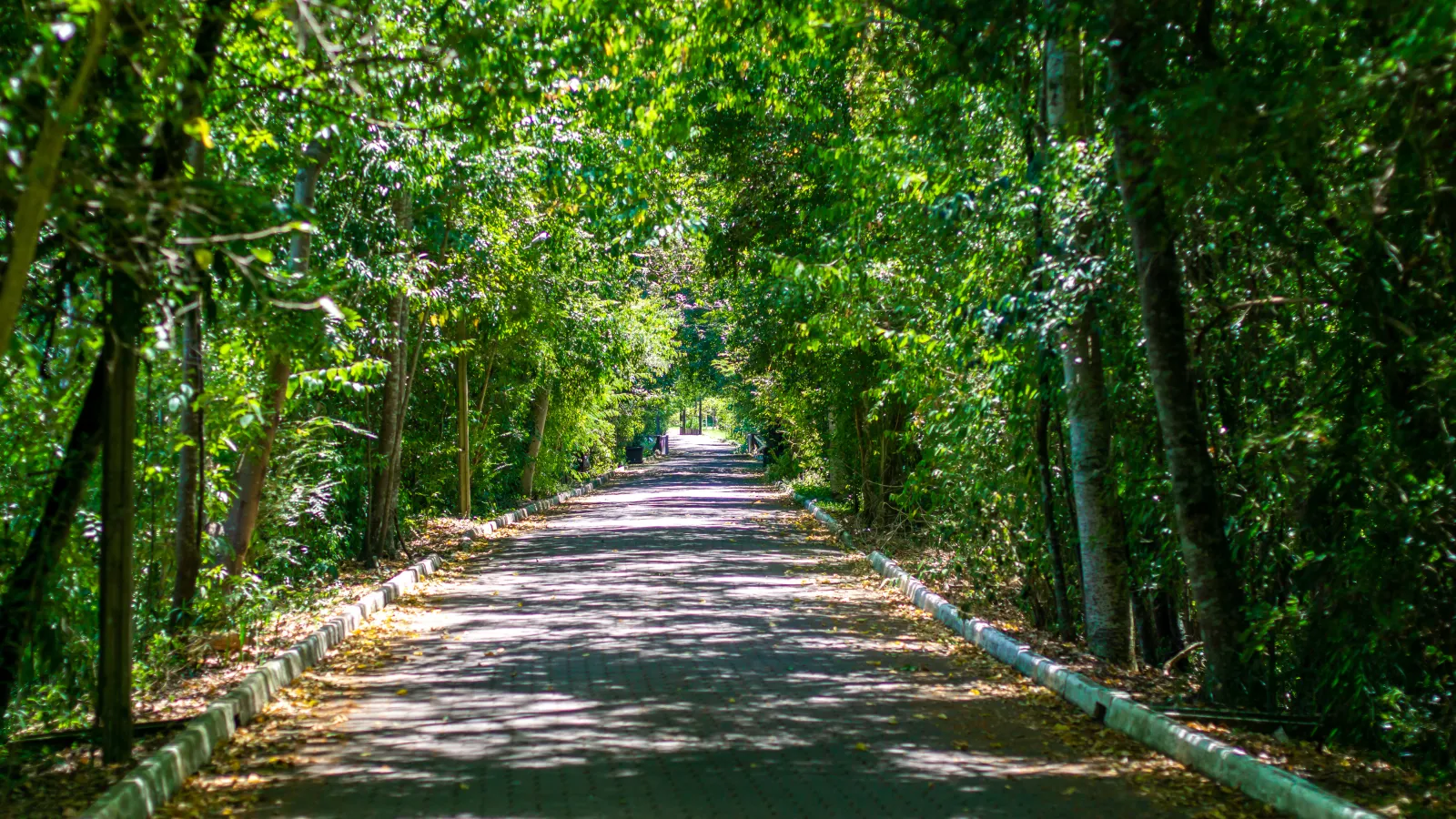 Caminhos da Felicidade – Um Dia Inesquecível no Interior do RS!
