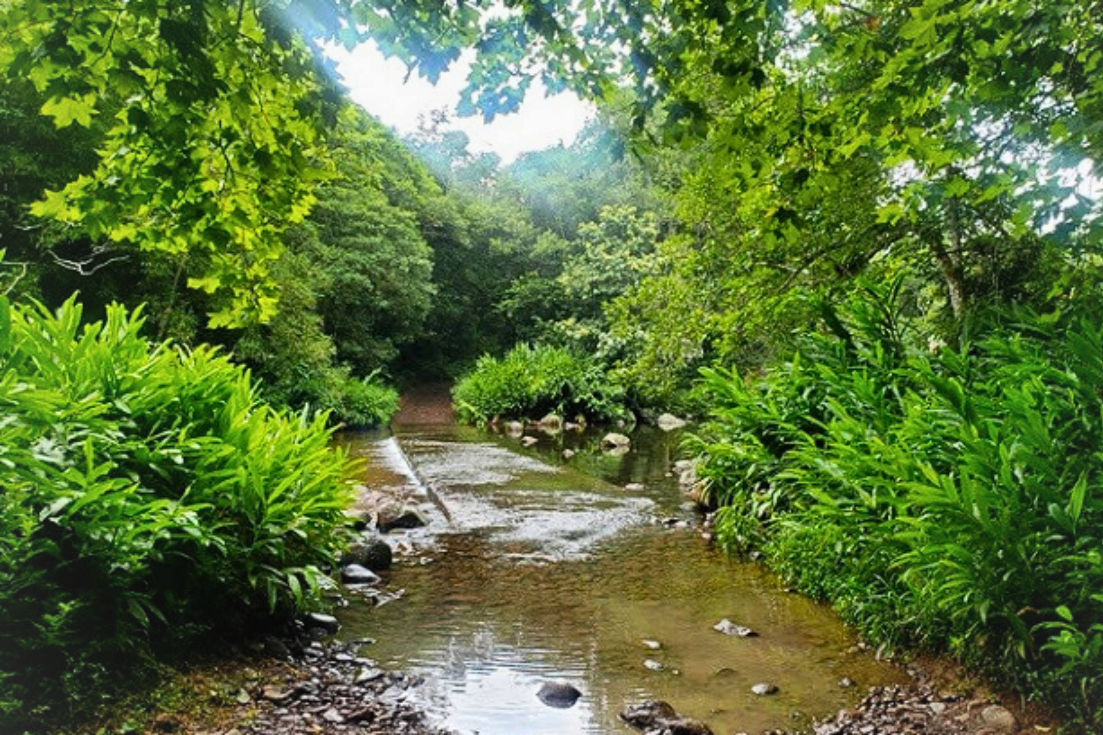 Descubra Maquiné – Tesouros Naturais do Litoral Norte Gaúcho