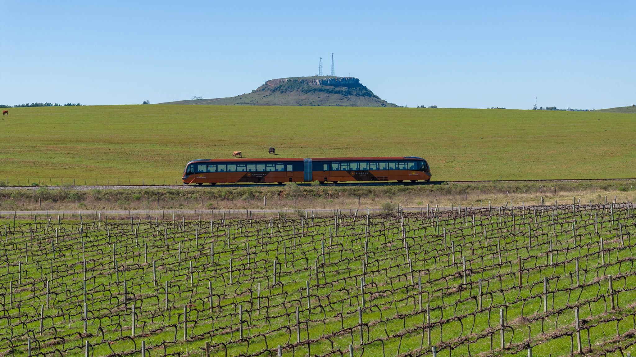 Trem do Pampa — Um dos melhores passeios do RS!
