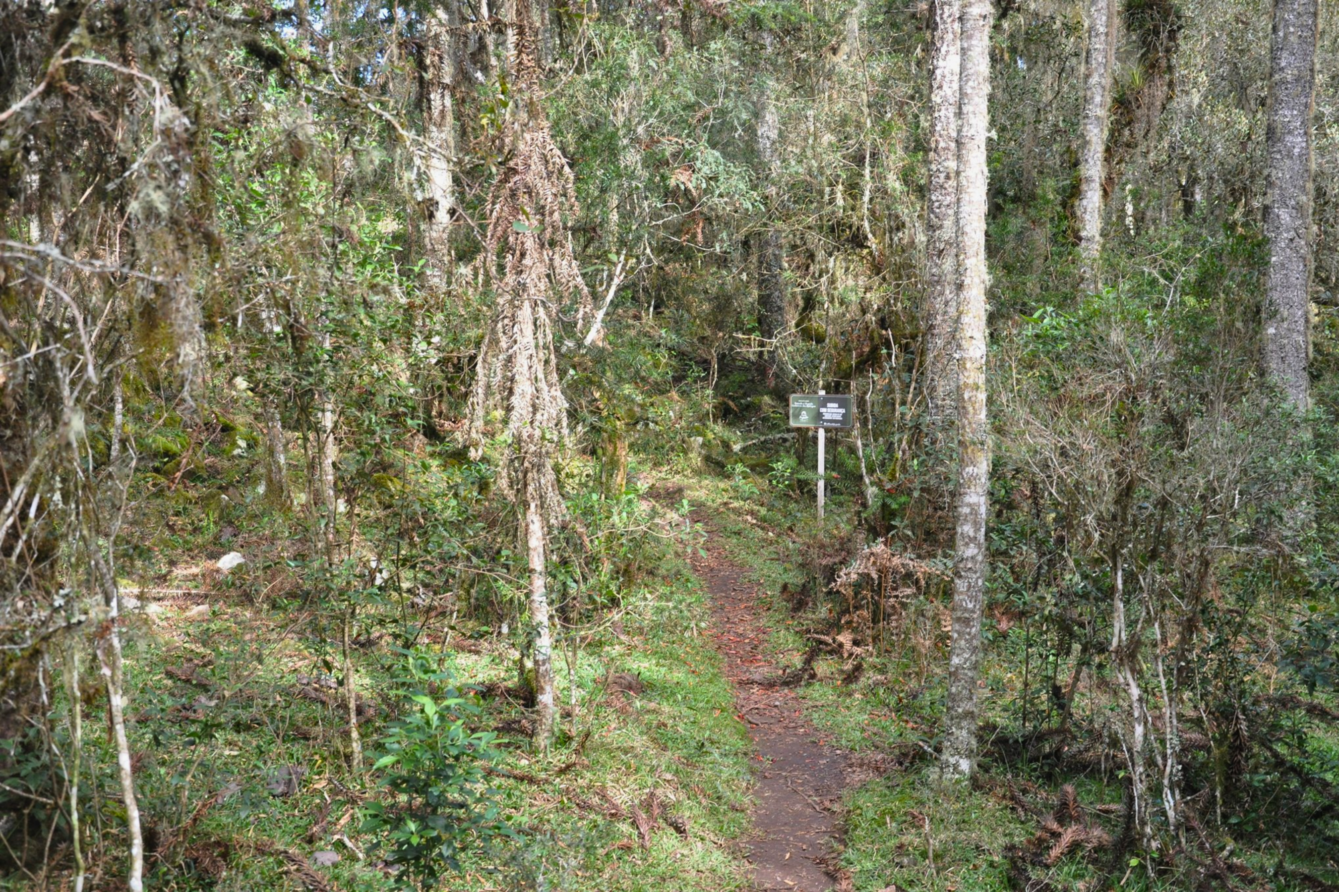 São José dos Ausentes – No Topo do Rio Grande do Sul!