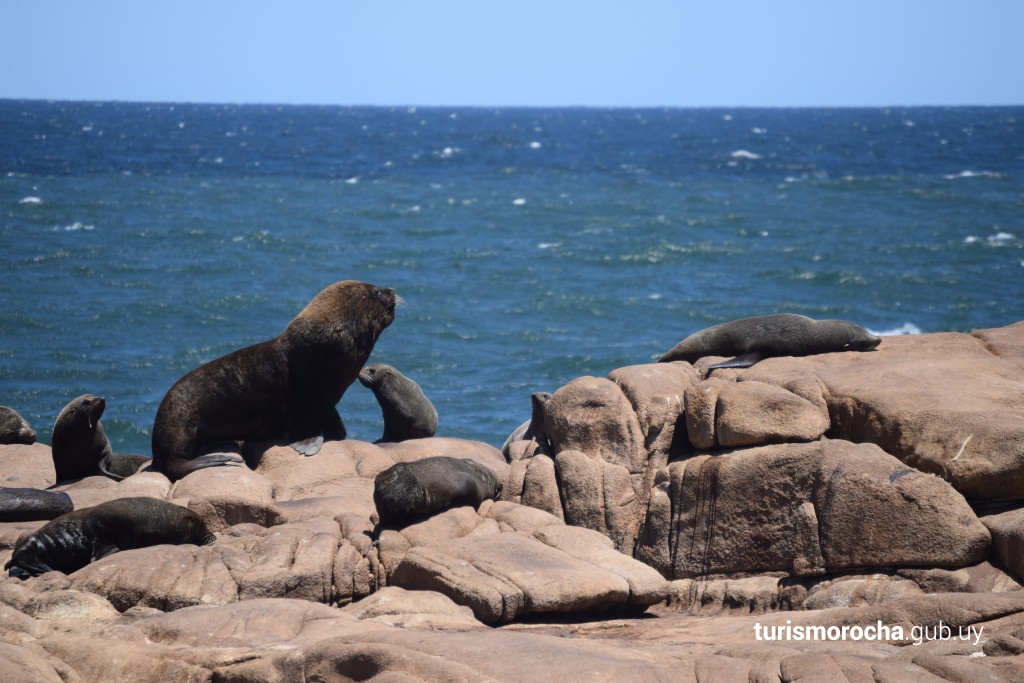 Cabo Polônio e Sul do RS – Uma Aventura Internacional Inesquecível!